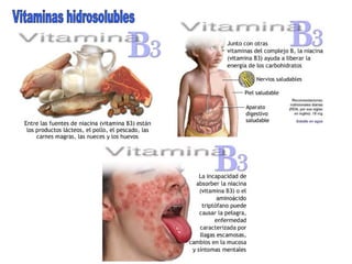Vitaminas hidrosolubles 