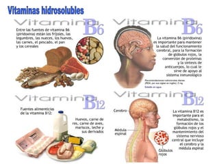Vitaminas hidrosolubles 