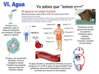 VI. Agua Ya sabes que “somos agua” El agua, con sustancias disueltas, forma el citoplasma celular. También hay bastante agua por fuera de nuestras células. El agua disuelve y transporta nutrientes ya que la sangre es en un 80 % agua. El agua también hace posible las reacciones metabólicas (reacciones químicas que ocurren en las células). Perdemos mucha agua al día aunque no sudemos. Perdemos agua, además, respirando, orinando y también con las heces. Aunque no la bebamos, está en todos los alimentos que tomamos. El agua aporta 0 calorías 