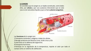 Las funciones de la sangre son:
1.Transporta nutrientes y oxígeno a todas las células.
2.Recoge productos de desecho (urea, ácido úrico y CO2
3.Interviene en la defensa del organismo.
4.Transporta hormonas.
5.Participa en la regulación de la temperatura, reparte el calor por todo el
cuerpo como un sistema de calefacción.
LA SANGRE
Se considera que la sangre es un tejido constituido, como todos
ellos, por células y por una sustancia intercelular que en este
caso es de naturaleza líquida y que se llama plasma sanguíneo.
 