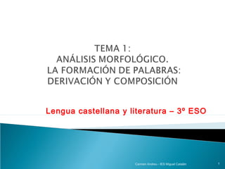 Lengua castellana y literatura – 3º ESO




                     Carmen Andreu - IES Miguel Catalán   1
 