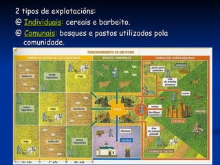 Cerimonia de homenaxe:  Señor (rei)- vasalo (nobre) Relacións feudo-vasalláticas. Defensa xudicial Protección militar Axuda económica Consello Axuda militar Sustento VASALO SEÑOR 