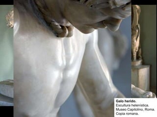 Galo herido.
Escultura helenística.
Museo Capitolino, Roma.
Copia romana.
 
