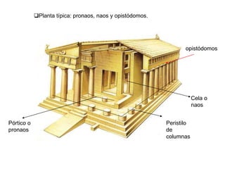 Peristilo
de
columnas
Cela o
naos
Pórtico o
pronaos
opistódomos
Planta típica: pronaos, naos y opistódomos.
 