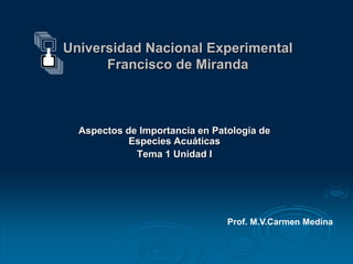 Universidad Nacional Experimental
Francisco de Miranda
Aspectos de Importancia en Patología de
Especies Acuáticas
Tema 1 Unidad I
Prof. M.V.Carmen Medina
 