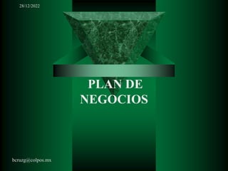 28/12/2022
PLAN DE
NEGOCIOS
bcruzg@colpos.mx
 