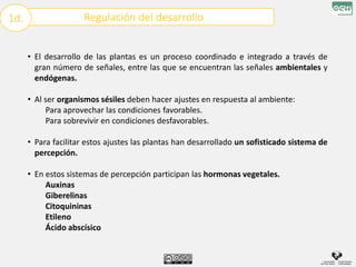 Regulación del desarrollo
1d.
• El desarrollo de las plantas es un proceso coordinado e integrado a través de
gran número de señales, entre las que se encuentran las señales ambientales y
endógenas.
• Al ser organismos sésiles deben hacer ajustes en respuesta al ambiente:
Para aprovechar las condiciones favorables.
Para sobrevivir en condiciones desfavorables.
• Para facilitar estos ajustes las plantas han desarrollado un sofisticado sistema de
percepción.
• En estos sistemas de percepción participan las hormonas vegetales.
Auxinas
Giberelinas
Citoquininas
Etileno
Ácido abscísico
 