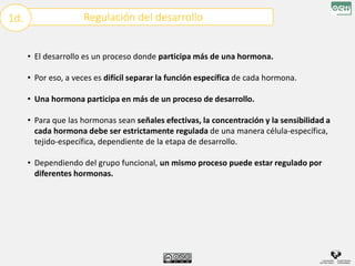 Regulación del desarrollo
1d.
• El desarrollo es un proceso donde participa más de una hormona.
• Por eso, a veces es difícil separar la función específica de cada hormona.
• Una hormona participa en más de un proceso de desarrollo.
• Para que las hormonas sean señales efectivas, la concentración y la sensibilidad a
cada hormona debe ser estrictamente regulada de una manera célula-específica,
tejido-específica, dependiente de la etapa de desarrollo.
• Dependiendo del grupo funcional, un mismo proceso puede estar regulado por
diferentes hormonas.
 