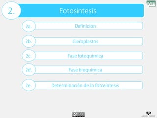 Fotosíntesis
2.
Definición
2a.
Cloroplastos
2b.
Fase fotoquímica
2c.
Fase bioquímica
2d.
Determinación de la fotosíntesis
2e.
 
