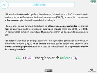Definición
2a.
• El termino fotosíntesis significa, literalmente, "síntesis por la luz". La fotosíntesis
realiza, más específicamente, la síntesis de azúcares (CH2O)n, a partir de compuestos
pobres en energía: el anhídrido carbónico y el agua.
• En esencia, lo que la fotosíntesis hace es obtener moléculas reducidas (azúcares)
ricas en energía a partir de moléculas pobres en energía como son el CO2 y el H2O.
En este proceso también se produce O2 como “desecho” ya que para la planta no es
útil.
• El obtener algo rico en energía (azúcares) de algo pobre (anhídrido carbónico, o
dióxido de carbono, y agua) no es posible a menos que se acople otro proceso, una
entrada de energía positiva: que en el caso de la fotosíntesis es el aprovechamiento
de la energía de la luz.
CO2 + H2O + energía solar  azúcar + O2
 