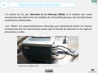 Determinación de la fotosíntesis
2e.
• El análisis de CO2 por absorción en el infrarrojo (IRGA) es el método más usado
actualmente para determinar las medidas de intercambio gaseoso, tasa de fotosíntesis
y parámetros relacionados.
• Los “IRGAs” son espectrofotómetros infrarrojos que, básicamente tienen los mismos
componentes que los instrumentos usados para el estudio de absorción en las regiones
ultravioleta y visible.
Imagen propia: U. Pérez López
Consola de un medidor de CO2.
 