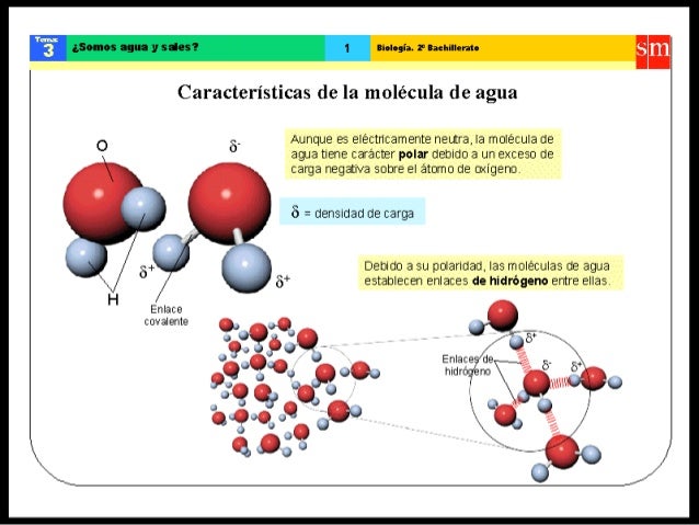 Resultado de imagen de La quÃ­mica es la base de la vida