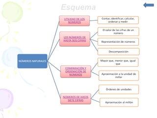 Esquema 