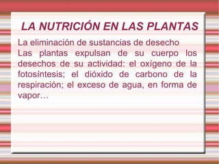 LA NUTRICIÓN EN LAS PLANTAS La eliminación de sustancias de desecho Las plantas expulsan de su cuerpo los desechos de su actividad: el oxígeno de la fotosíntesis; el dióxido de carbono de la respiración; el exceso de agua, en forma de vapor… 