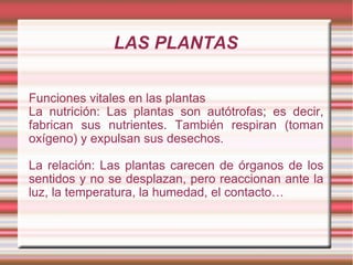 LAS PLANTAS Funciones vitales en las plantas La nutrición: Las plantas son autótrofas; es decir, fabrican sus nutrientes. También respiran (toman oxígeno) y expulsan sus desechos. La relación: Las plantas carecen de órganos de los sentidos y no se desplazan, pero reaccionan ante la luz, la temperatura, la humedad, el contacto… 