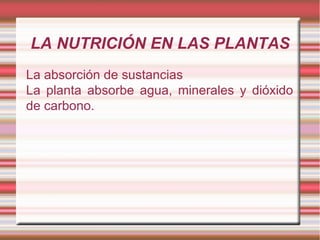 LA NUTRICIÓN EN LAS PLANTAS La absorción de sustancias La planta absorbe agua, minerales y dióxido de carbono. 
