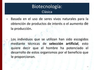 Biotecnología:
Clásica
• Basada en el uso de seres vivos naturales para la
obtención de productos de interés o el aumento ...