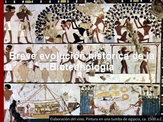 Elaboración del vino. Pintura en una tumba de egipcia, ca. 1500 a.C.
58
 