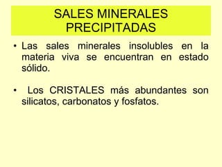 SALES MINERALES PRECIPITADAS <ul><li>Las sales minerales insolubles en la materia viva se encuentran en estado sólido. </l...