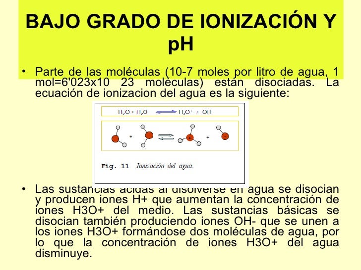 Tema 1 bioelementos y biomoléculas