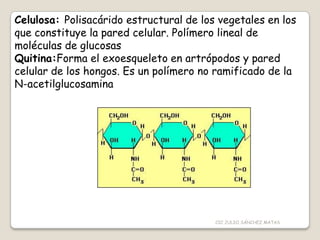 Celulosa: Polisacárido estructural de los vegetales en los
que constituye la pared celular. Polímero lineal de
moléculas de glucosas
Quitina:Forma el exoesqueleto en artrópodos y pared
celular de los hongos. Es un polímero no ramificado de la
N-acetilglucosamina
CIC JULIO SÁNCHEZ MATAS
 