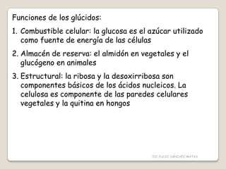 Funciones de los glúcidos:
1. Combustible celular: la glucosa es el azúcar utilizado
como fuente de energía de las células
2. Almacén de reserva: el almidón en vegetales y el
glucógeno en animales
3. Estructural: la ribosa y la desoxirribosa son
componentes básicos de los ácidos nucleicos. La
celulosa es componente de las paredes celulares
vegetales y la quitina en hongos
CIC JULIO SÁNCHEZ MATAS
 