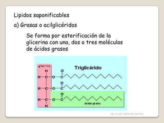 Lipidos saponificables
a) Grasas o acilglicéridos
Se forma por esterificación de la
glicerina con una, dos o tres moléculas
de ácidos grasos
CIC JULIO SÁNCHEZ MATAS
 
