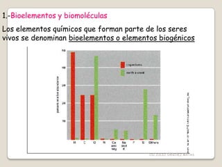 1.-Bioelementos y biomoléculas
Los elementos químicos que forman parte de los seres
vivos se denominan bioelementos o elementos biogénicos
CIC JULIO SÁNCHEZ MATAS
 