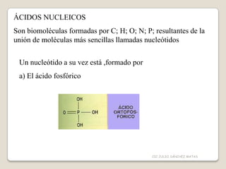 ÁCIDOS NUCLEICOS
Son biomoléculas formadas por C; H; O; N; P; resultantes de la
unión de moléculas más sencillas llamadas nucleótidos
Un nucleótido a su vez está ,formado por
a) El ácido fosfórico
CIC JULIO SÁNCHEZ MATAS
 