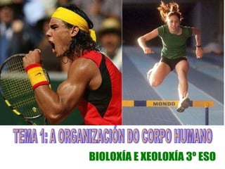 TEMA 1: A ORGANIZACIÓN DO CORPO HUMANO BIOLOXÍA E XEOLOXÍA 3º ESO 
