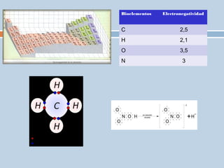 Bioelementos Electronegatividad
C 2,5
H 2,1
O 3,5
N 3
 