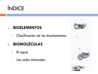 ÍNDICE


1.       BIOELEMENTOS
     1    Clasificación de los bioelementos

2.       BIOMOLÉCULAS
     2    El agua
     I...