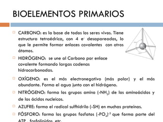 BIOELEMENTOS PRIMARIOS
   CARBONO: es la base de todos los seres vivos. Tiene
    estructura tetraédrica, con 4 e- desapa...