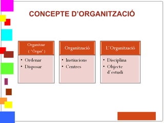 CONCEPTE D’ORGANITZACIÓ
 