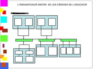 L’ORGANITZACIÓ DINTRE DE LES CIÈNCIES DE L’EDUCACIÓ




*
 