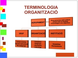 TERMINOLOGIA
ORGANITZACIÓ
 