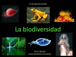 1º DE BACHILLERATO La biodiversidad IES EL BOHIO JUAN BUENDIA ESCUDERO 