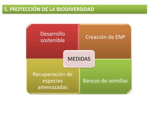 Introducción de especies extrañas4. LA PÉRDIDA DE BIODIVERSIDAD: CAUSASHUMANASSobreexplotaciónAtún rojoSecuoyaDodoAgricultura intensiva