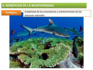 2. BENEFICIOS DE LA BIODIVERSIDAD