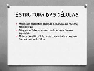 ESTRUTURA DAS CÉLULAS
O Membrana plasmática-Delgada membrana que recobre
  toda a célula.
O Citoplasma-Interior celular, onde se encontran os
  orgánulos.
O Material xenético-Substancia que controla e regula o
  funcionamento da célula
 