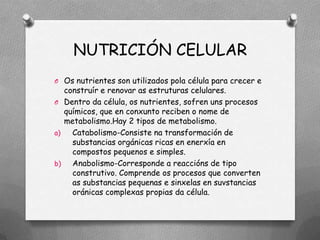 NUTRICIÓN CELULAR
O Os nutrientes son utilizados pola célula para crecer e
   construír e renovar as estruturas celulares.
O Dentro da célula, os nutrientes, sofren uns procesos
   químicos, que en conxunto reciben o nome de
   metabolismo.Hay 2 tipos de metabolismo.
a)   Catabolismo-Consiste na transformación de
     substancias orgánicas ricas en enerxía en
     compostos pequenos e simples.
b)   Anabolismo-Corresponde a reaccións de tipo
     construtivo. Comprende os procesos que converten
     as substancias pequenas e sinxelas en suvstancias
     oránicas complexas propias da célula.
 