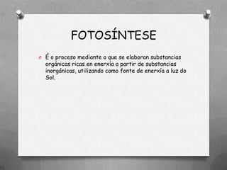 FOTOSÍNTESE
O É o proceso mediante o que se elaboran substancias
  orgánicas ricas en enerxía a partir de substancias
  inorgánicas, utilizando como fonte de enerxía a luz do
  Sol.
 
