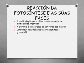 REACCIÓN DA
FOTOSÍNTESE E AS SÚAS
       FASES
O A partir da glicosa, a célula produce o resto de
  biomoléculas orgánicas.
O A clorofila é a encargada da cor verde das plantas.
O CO2+H2O+sales minerais+enerxía luminosa—
  glicosa+O2
 