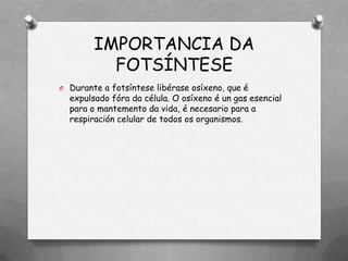 IMPORTANCIA DA
          FOTSÍNTESE
O Durante a fotsíntese libérase osíxeno, que é
  expulsado fóra da célula. O osíxeno é un gas esencial
  para o mantemento da vida, é necesario para a
  respiración celular de todos os organismos.
 