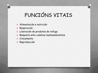 FUNCIÓNS VITAIS
O Alimentación e nutrición
O Respiración
O Liberación de produtos de refugo
O Resposta ante cambios medioambientais
O Crecemento
O Reproducción
 