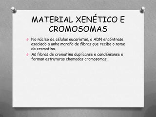 MATERIAL XENÉTICO E
     CROMOSOMAS
O No núcleo de células eucariotas, o ADN encóntrase
  asociado a unha maraña de fibras que recibe o nome
  de cromatina.
O As fibras de cromatina duplícanse e condénsanse e
  forman estruturas chamadas cromosomas.
 