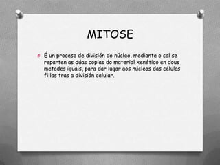 MITOSE
O É un proceso de división do núcleo, mediante o cal se
  reparten as dúas copias do material xenético en dous
  metades iguais, para dar lugar aos núcleos das células
  fillas tras a división celular.
 