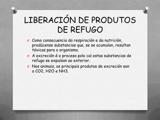 LIBERACIÓN DE PRODUTOS
       DE REFUGO
O Como consecuencia da respiración e da nutrición,
  prodúcense substancias que, se se acumulan, resultan
  tóxicas para o organismo.
O A excreción é o proceso polo cal estas substancias de
  refugo se expulsan ao exterior.
O Nos animais, os principais produtos de excreción son
  o CO2, H2O e NH3.
 