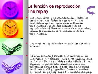La función de reproducción
    The replay
    Los seres vivos y la reproducción : todos los
     seres vivos nos podemos reproducir . Los
     individuos que se reproducen se llaman
     progenitores , y los que resultan de la
     reproducción se llaman descendientes o crías,
     tienen las mismas características de los
     progenitores.


    Los tipos de reproducción pueden ser sexual o
     asexual.


    La reproducción asexual: solo interviene un
     individuo. Por ejemplo : Los seres unicelulares
     su única célula se divide en dos células hijas,
     algunos invertebrados sencillos como los
     pólipos, se forma poco a poco como una yema
     en el cuerpo del progenitor. Cuando termina
     de formarse, se desprende En muchas plantas,
 