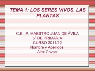 TEMA 1: LOS SERES VIVOS. LAS PLANTAS C.E.I.P. MAESTRO JUAN DE ÁVILA 5º DE PRIMARIA CURSO 2011/12 Nombre y Apellidos  Alex Covaci 
